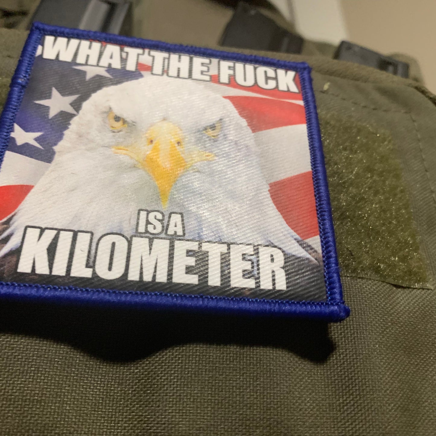 What The Fuck Is a Kilometer Bald Eagle Patch or Sticker