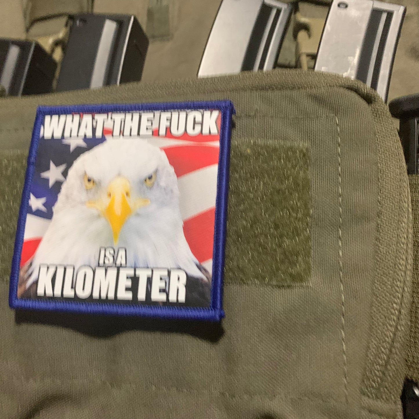 What The Fuck Is a Kilometer Bald Eagle Patch