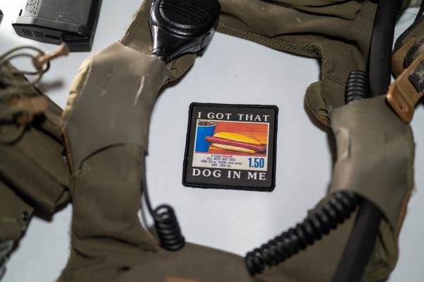 I Got That Dog In Me Hot Dog Patch or Sticker