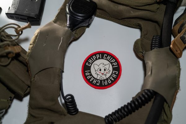 Boykisser Chipi Chipi Silly Cat Airsoft Meme Patch or Sticker